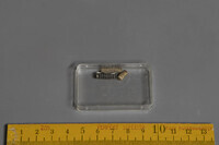 F 03450
<br/>
<br/>
<em></em>